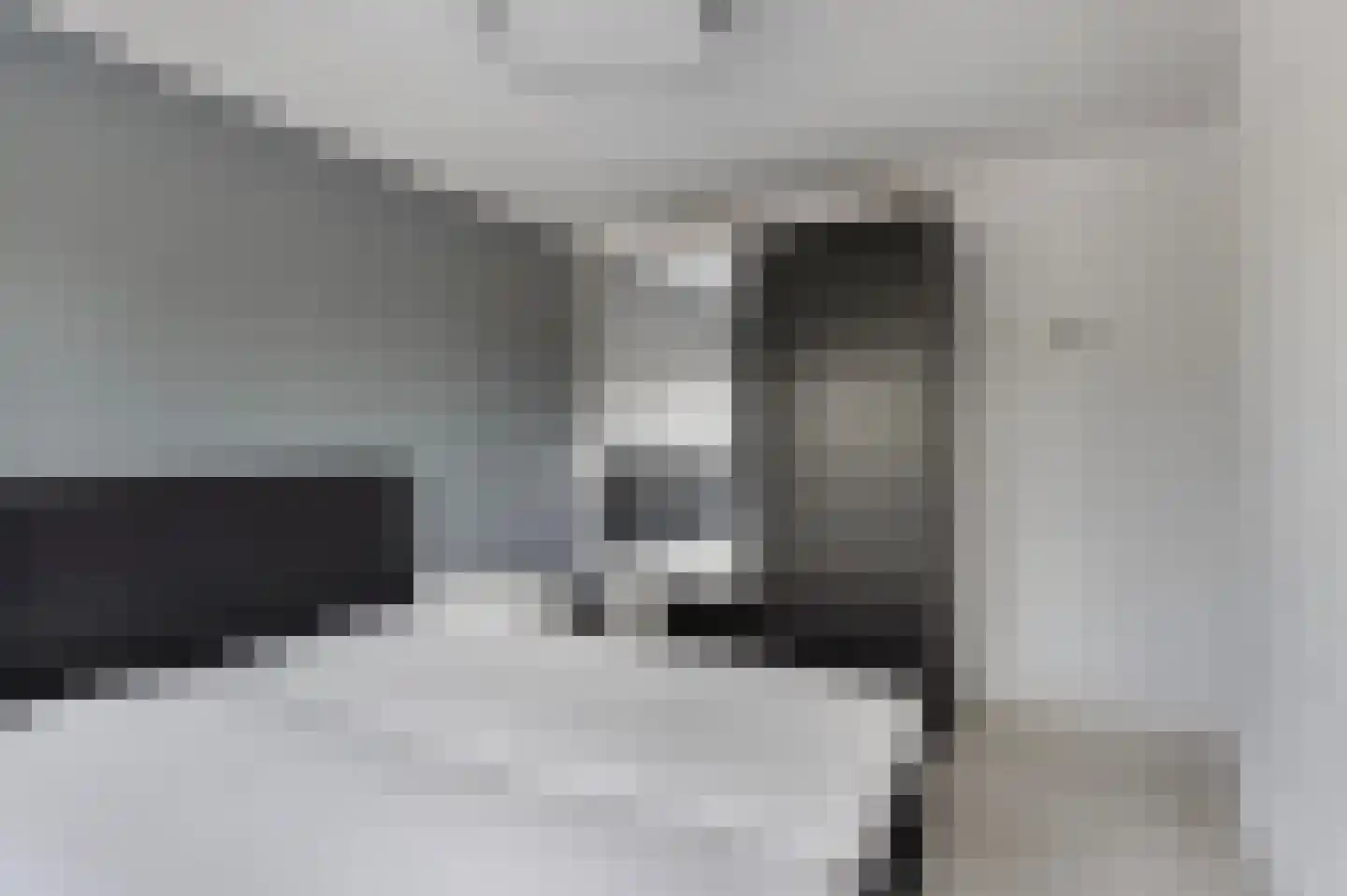 Pepijn van Herstalstraat 46 Budel thumbnail 21