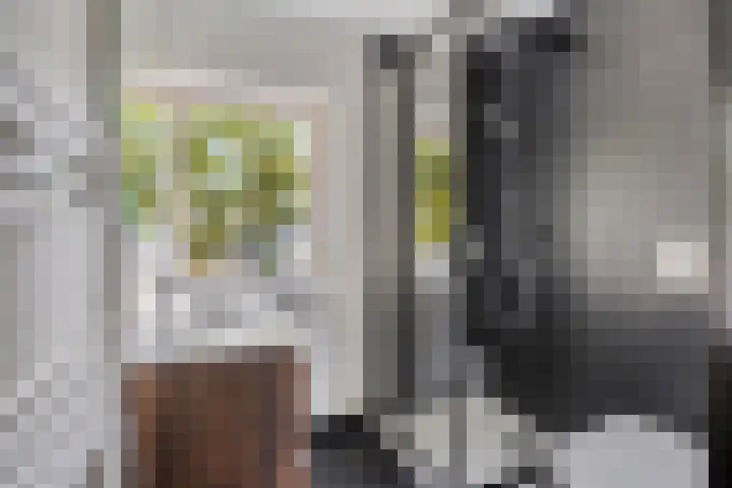 Pepijn van Herstalstraat 46 Budel thumbnail 23