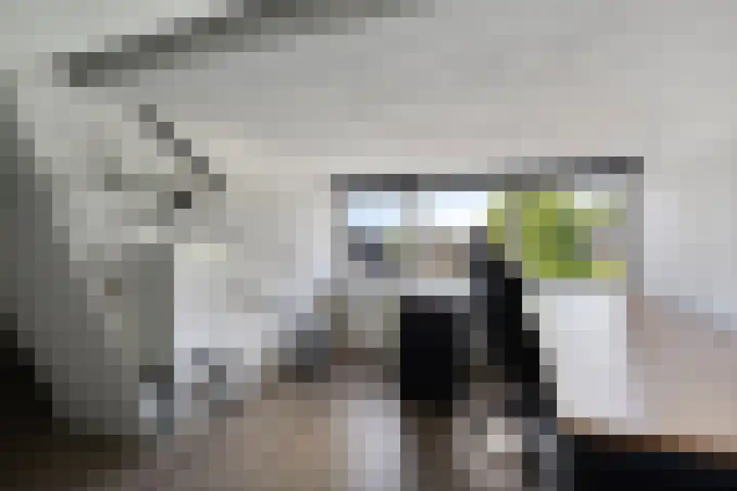 Pepijn van Herstalstraat 46 Budel thumbnail 31