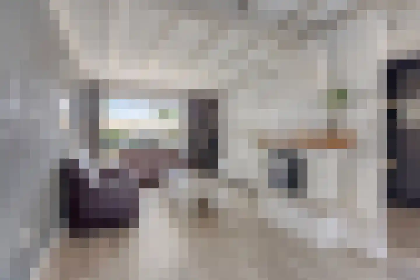 Pepijn van Herstalstraat 46 Budel thumbnail 7