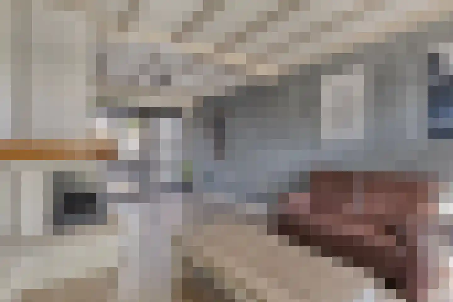 Pepijn van Herstalstraat 46 Budel thumbnail 9