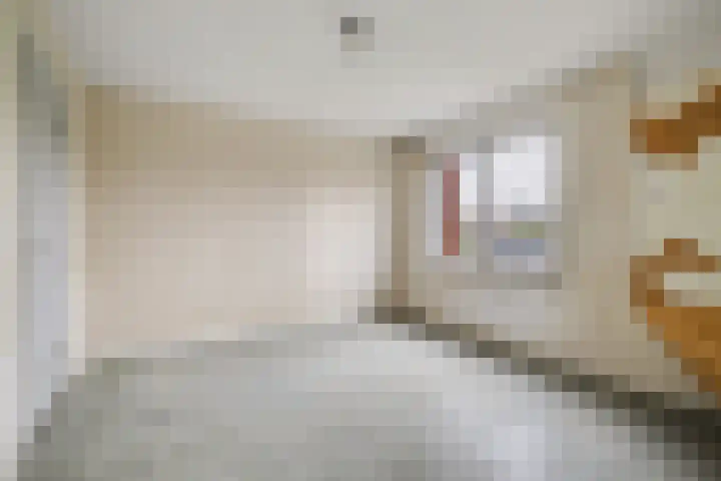 Pepijnstraat 153 Venlo thumbnail 14
