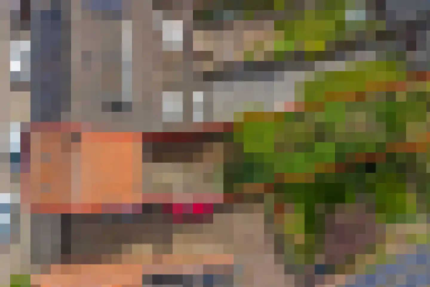Pepijnstraat 153 Venlo thumbnail 20