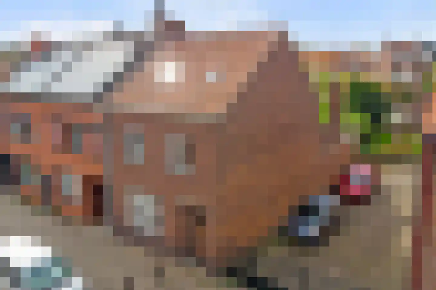 Pepijnstraat 153 Venlo thumbnail 21