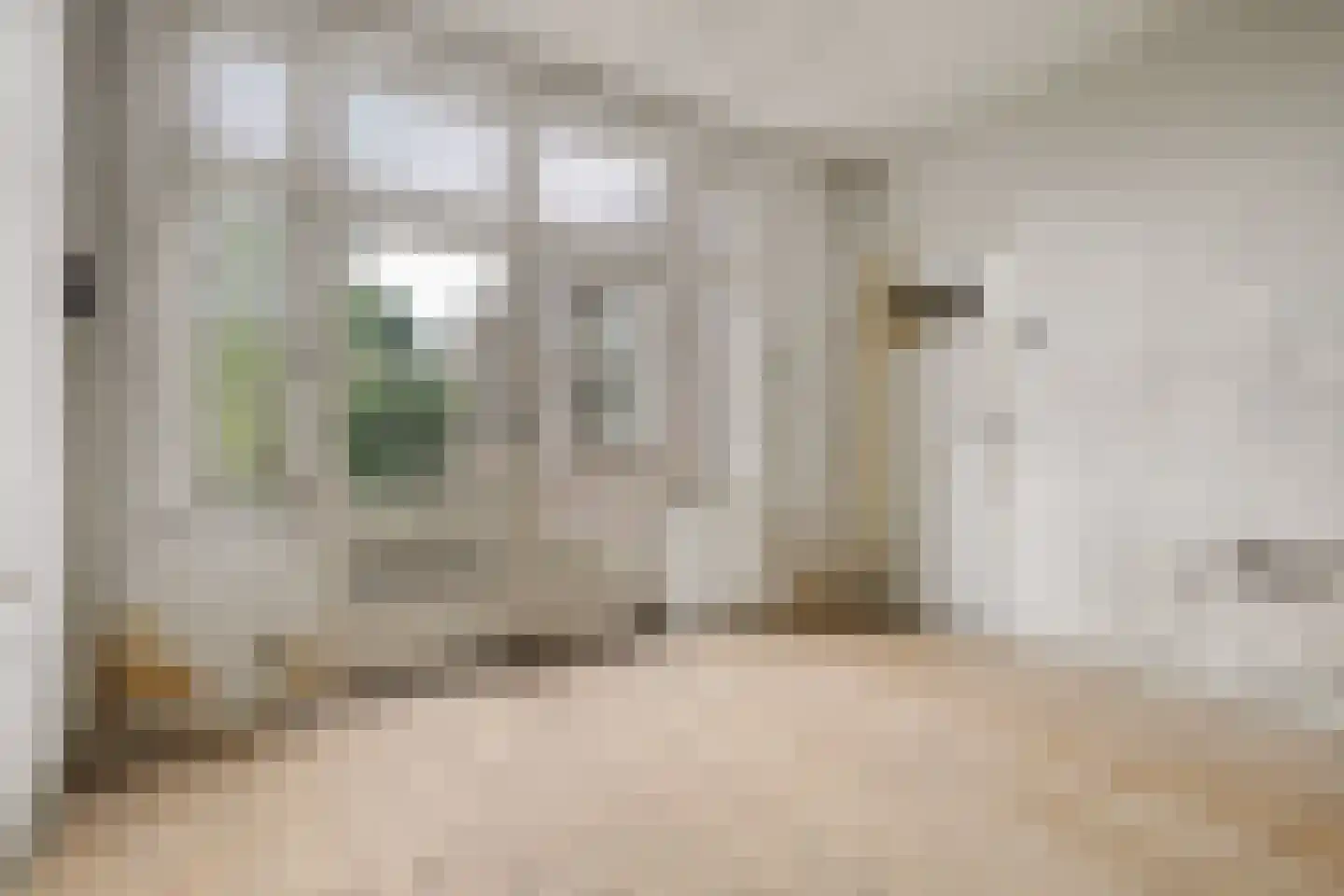 Pepijnstraat 153 Venlo thumbnail 6
