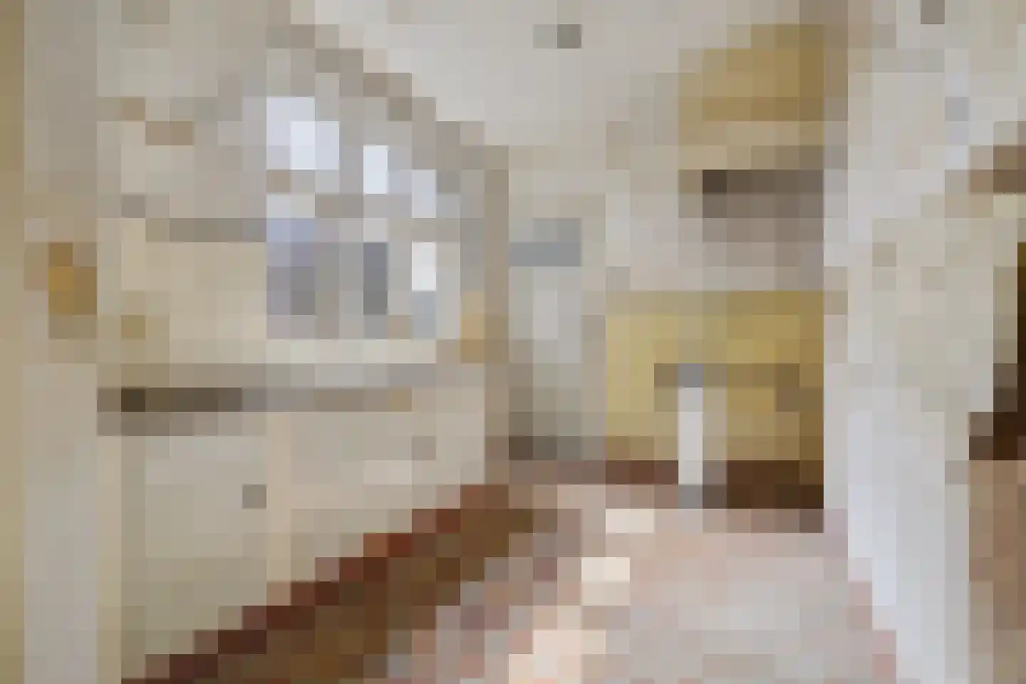Pepijnstraat 153 Venlo thumbnail 8