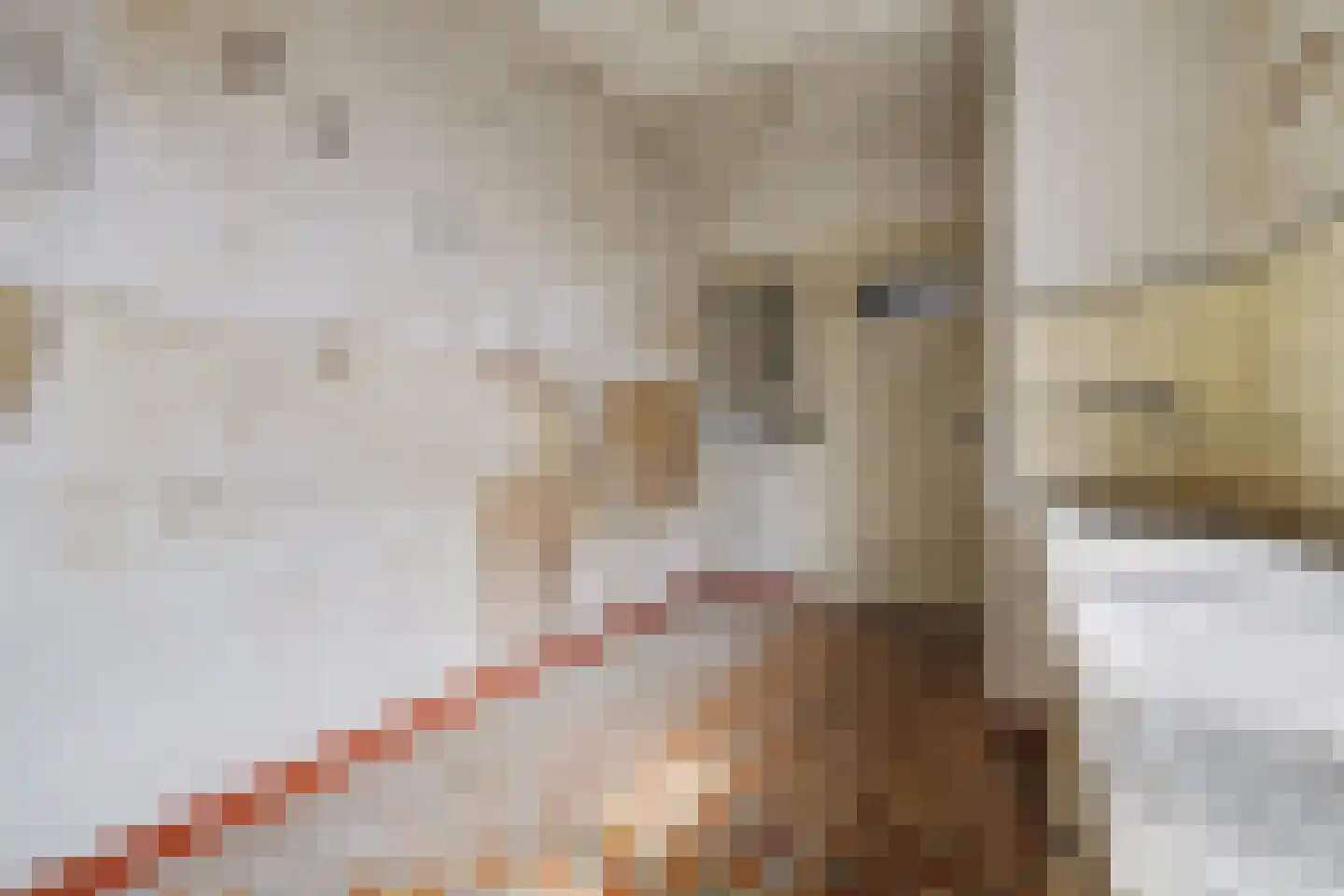 Pepijnstraat 153 Venlo thumbnail 9