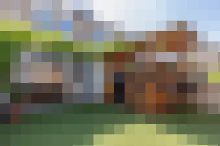 Pepijnstraat 29 Sittard thumbnail 26