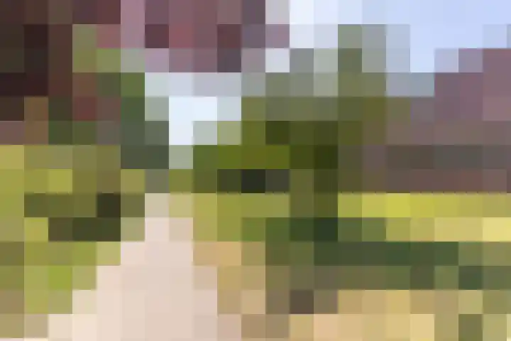 Pepijnstraat 29 Sittard thumbnail 5