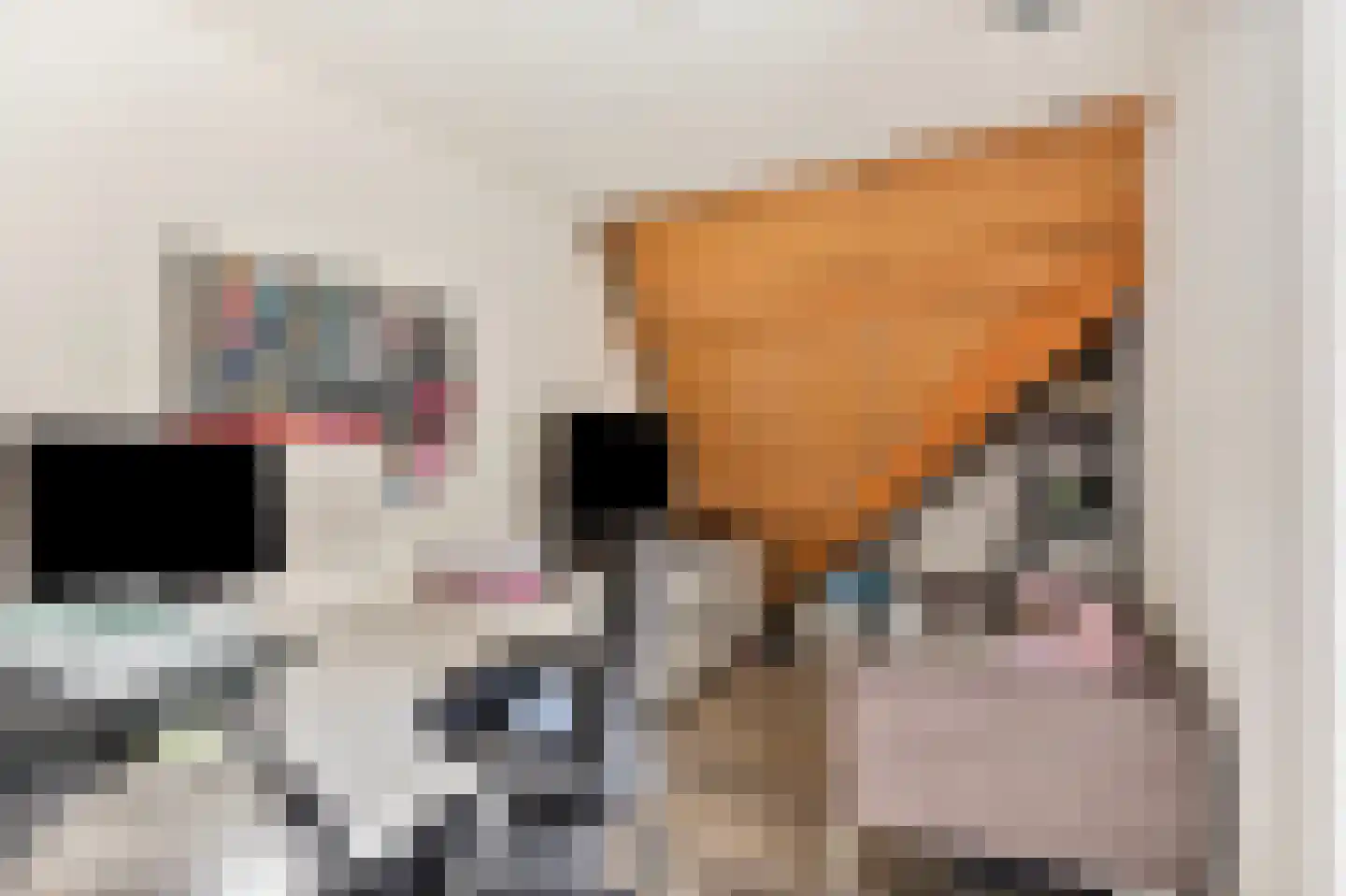 Pepijnstraat 63 Venlo thumbnail 23
