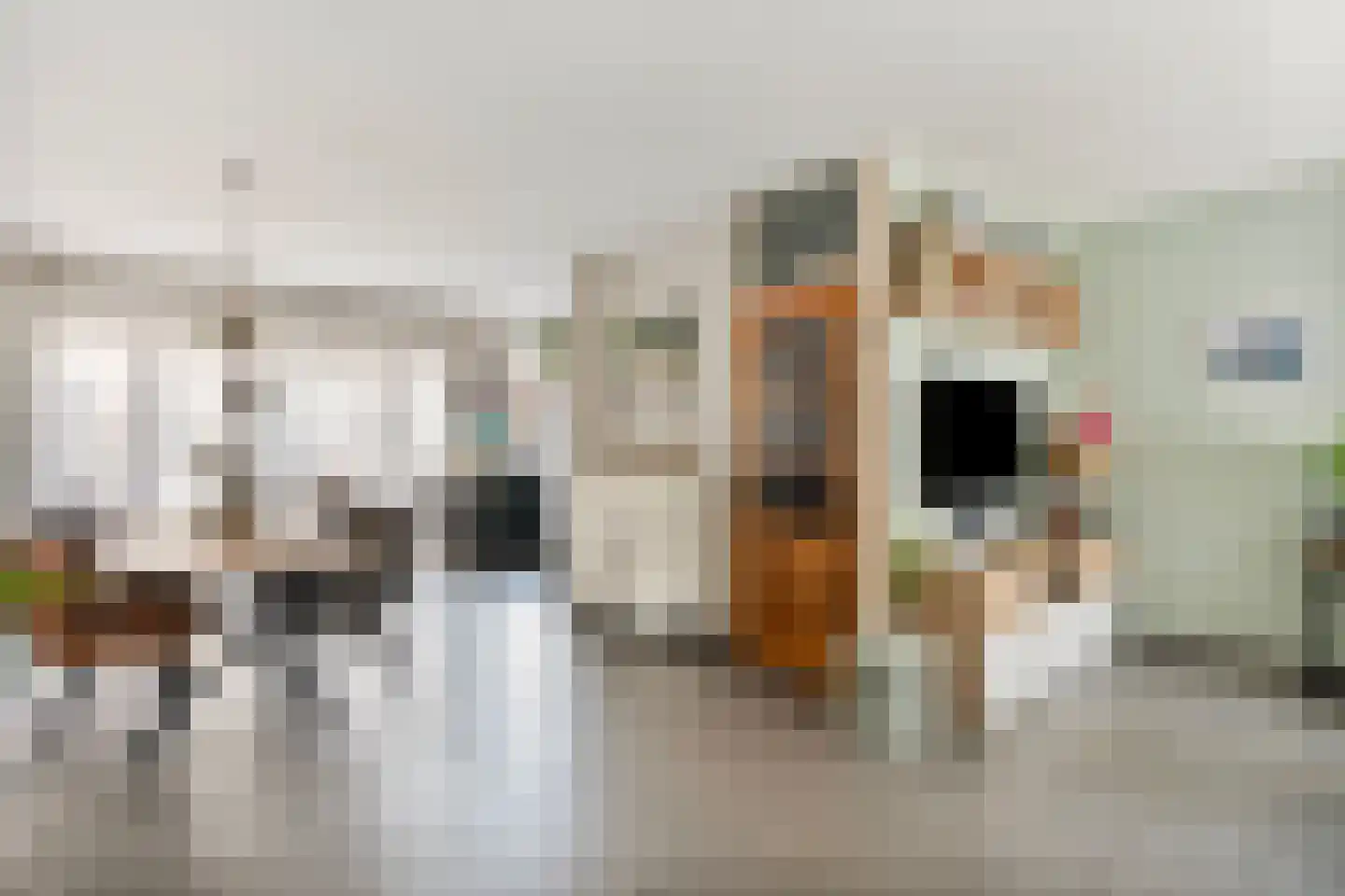 Pepijnstraat 63 Venlo thumbnail 5