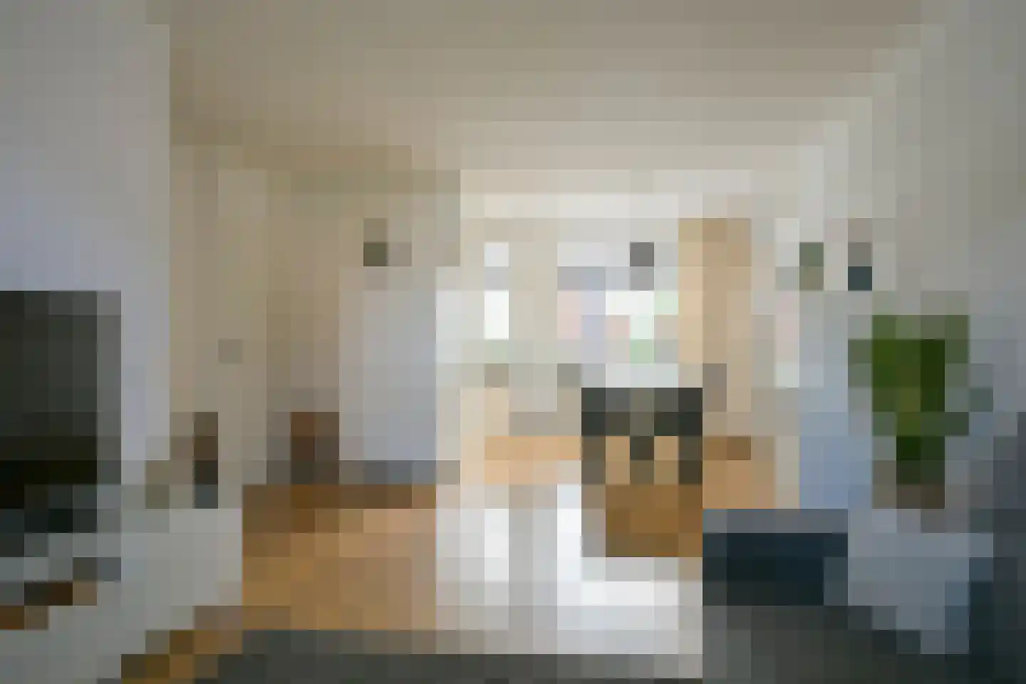 Pepijnstraat 7 Sittard thumbnail 13