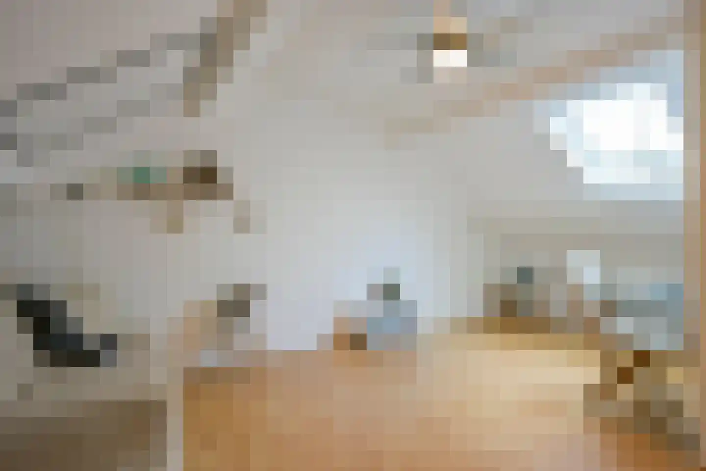 Pepijnstraat 7 Sittard thumbnail 30