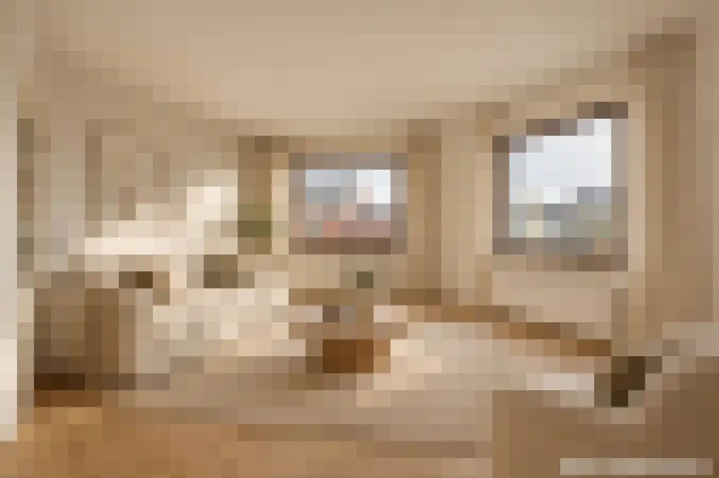 Pepijnstraat 77 Venlo thumbnail 10