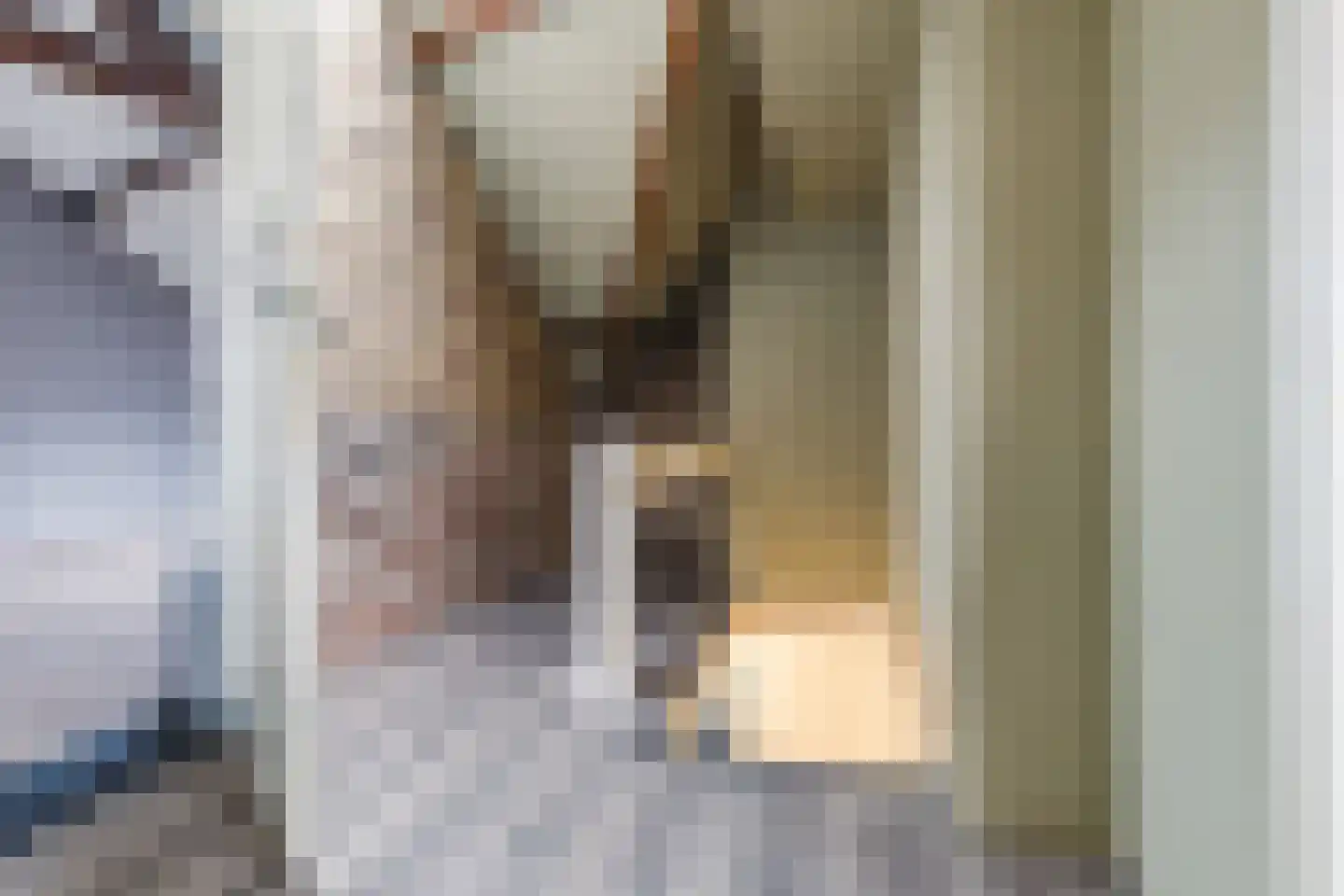 Pepijnstraat 77 Venlo thumbnail 22