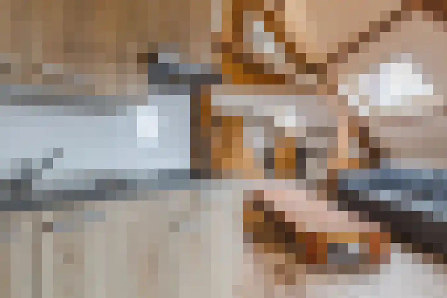 Pepijnstraat 77 Venlo thumbnail 25