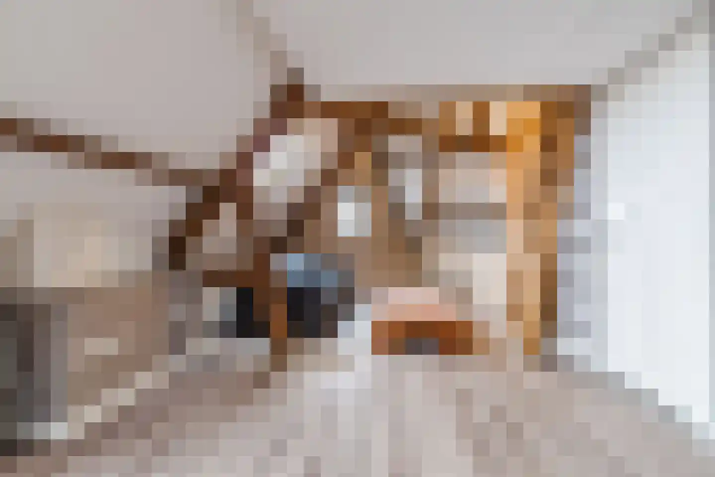 Pepijnstraat 77 Venlo thumbnail 26