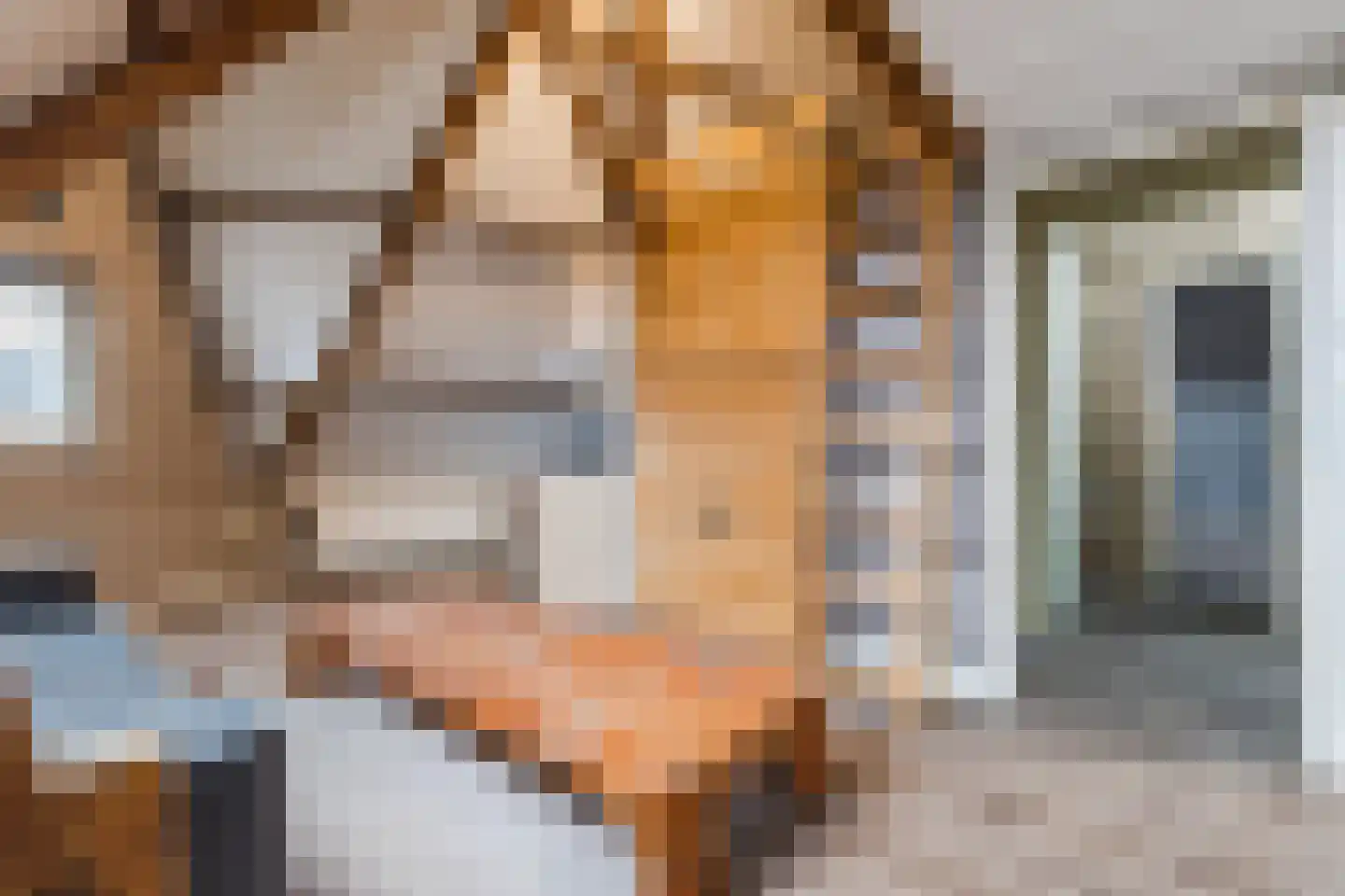 Pepijnstraat 77 Venlo thumbnail 29