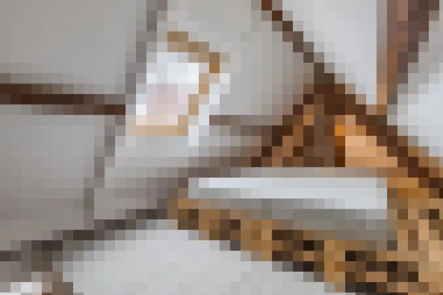 Pepijnstraat 77 Venlo thumbnail 30