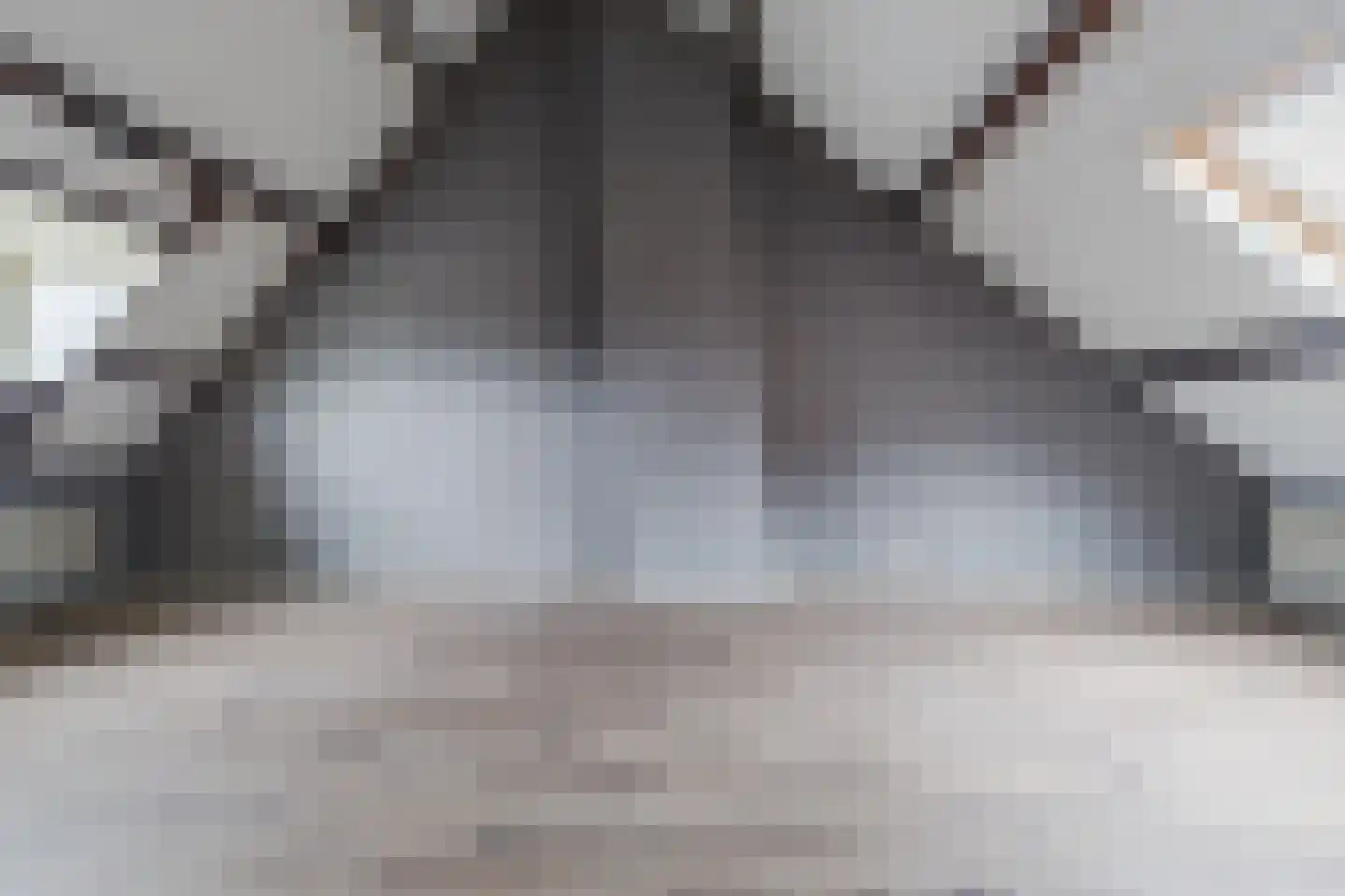 Pepijnstraat 77 Venlo thumbnail 34