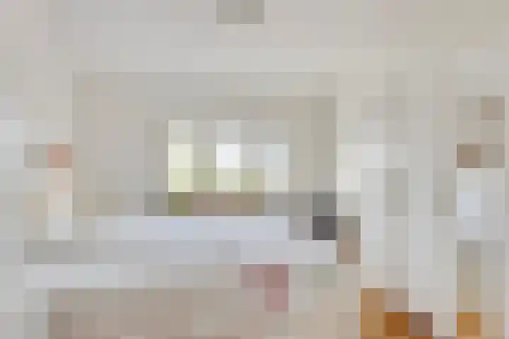 Pepinusbrug 24 A Echt thumbnail 13