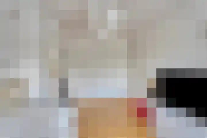 Pepinusbrug 24 A Echt thumbnail 16