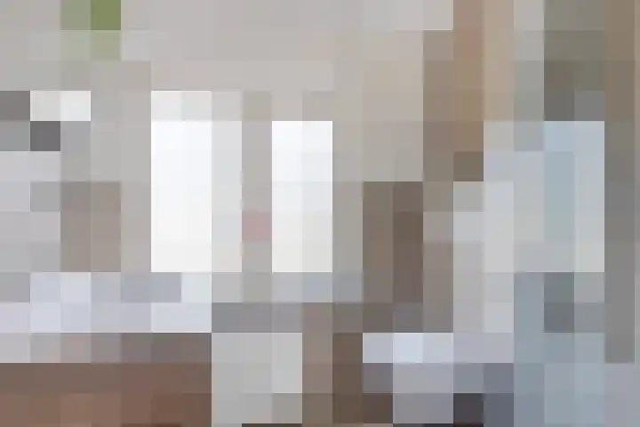 Pepinusbrug 24 A Echt thumbnail 19