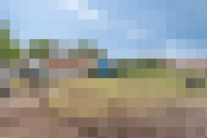 Pepinusbrug 24 A Echt thumbnail 28