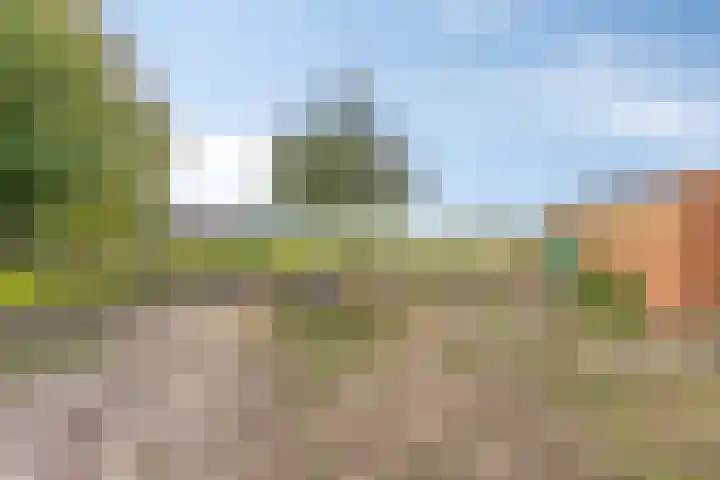 Pepinusbrug 24 A Echt thumbnail 29