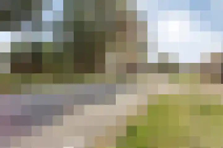 Pepinusbrug 24 A Echt thumbnail 35