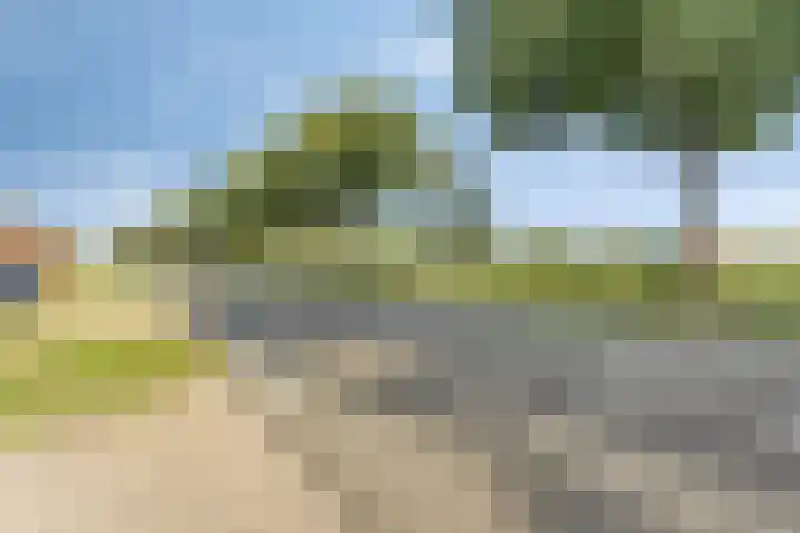 Pepinusbrug 24 A Echt thumbnail 36