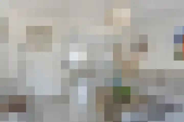 Pepinusbrug 24 A Echt thumbnail 5