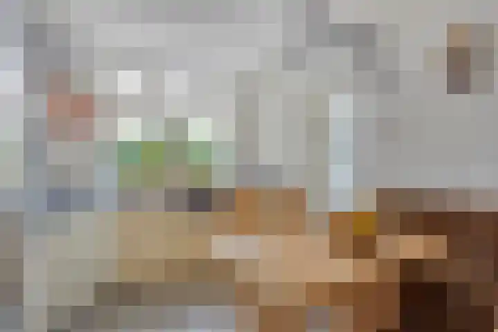 Pepinusbrug 24 A Echt thumbnail 8