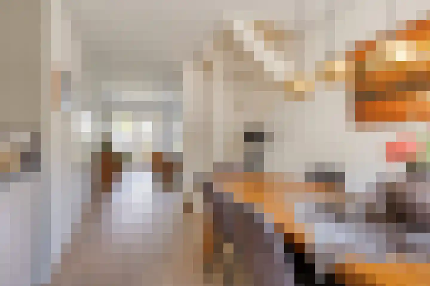 Peppelbeek 20 Veldhoven thumbnail 12
