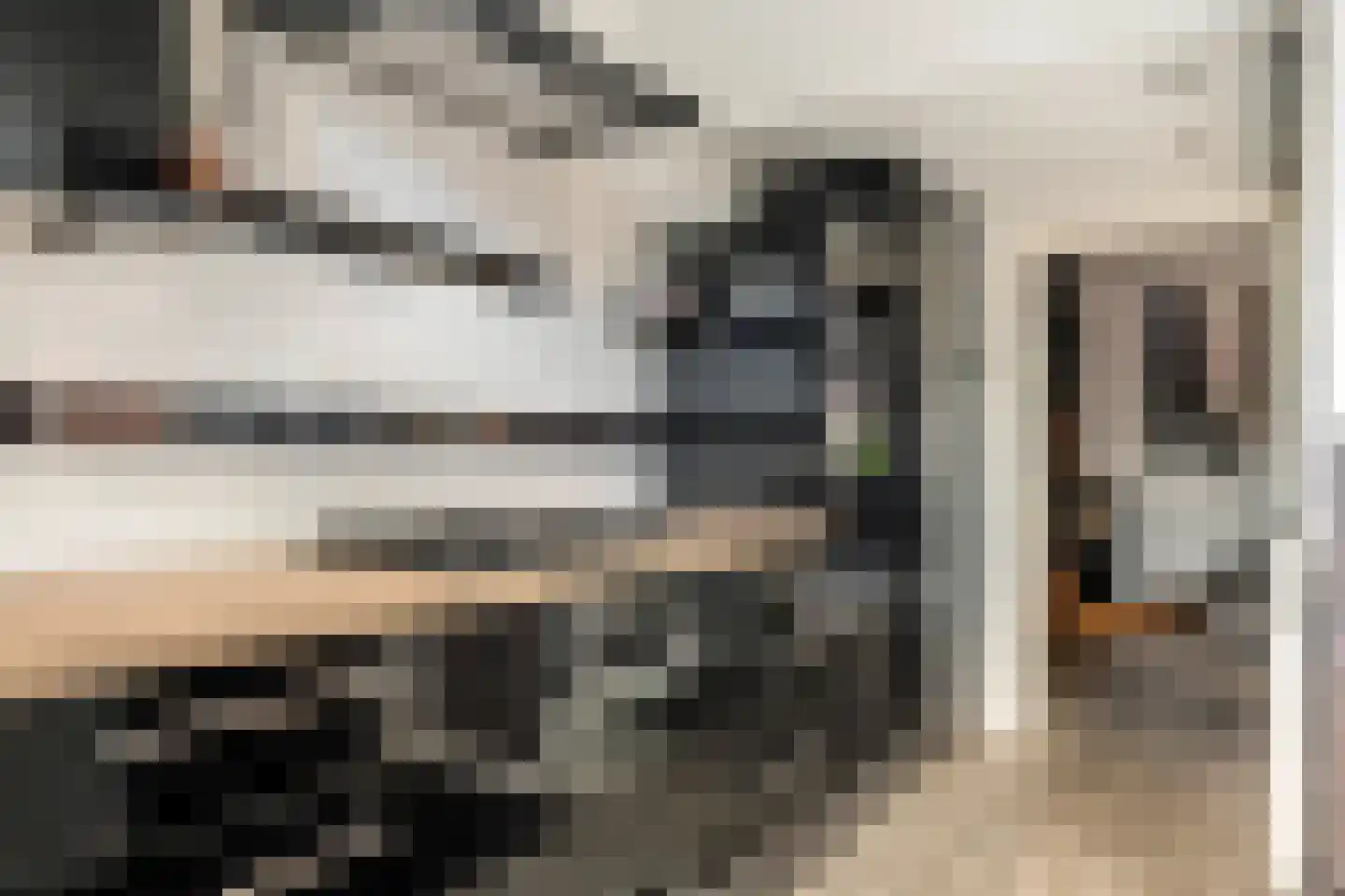 Peppelbos 19 Geldermalsen thumbnail 13