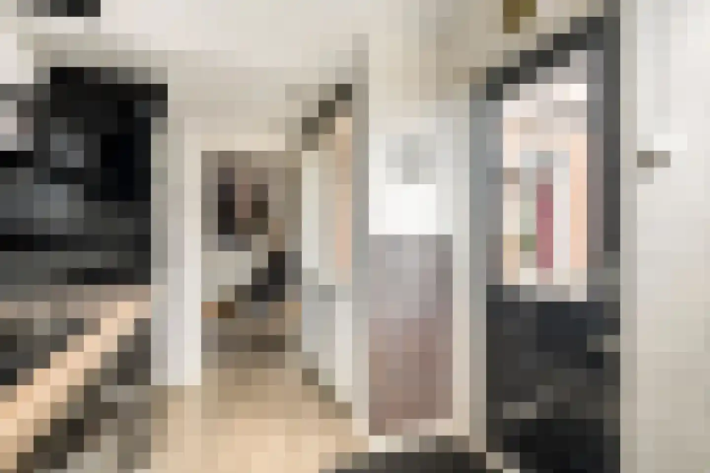 Peppelbos 19 Geldermalsen thumbnail 14