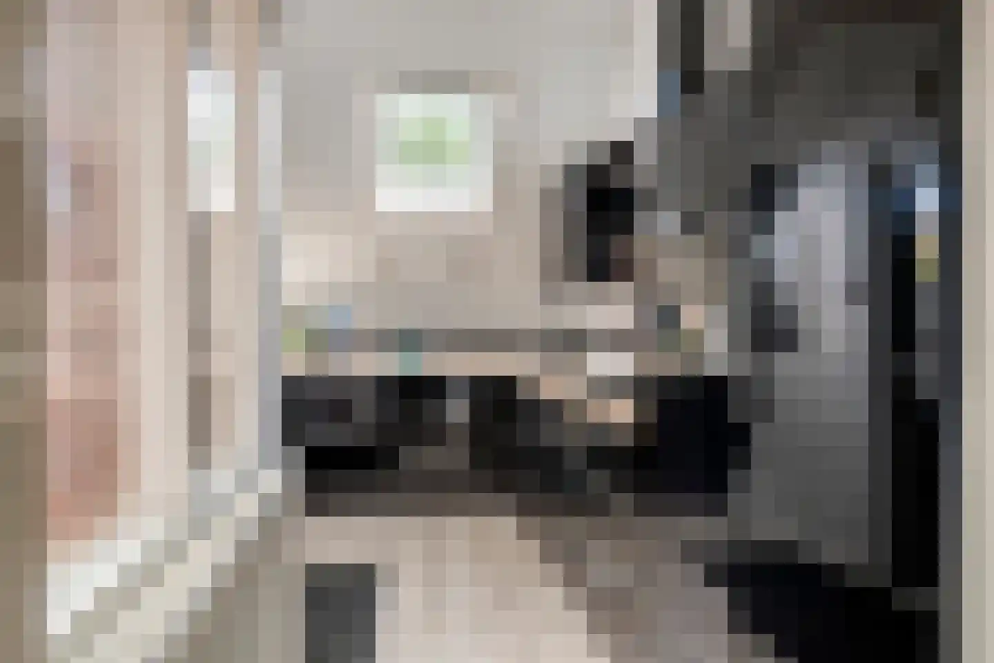 Peppelbos 19 Geldermalsen thumbnail 15