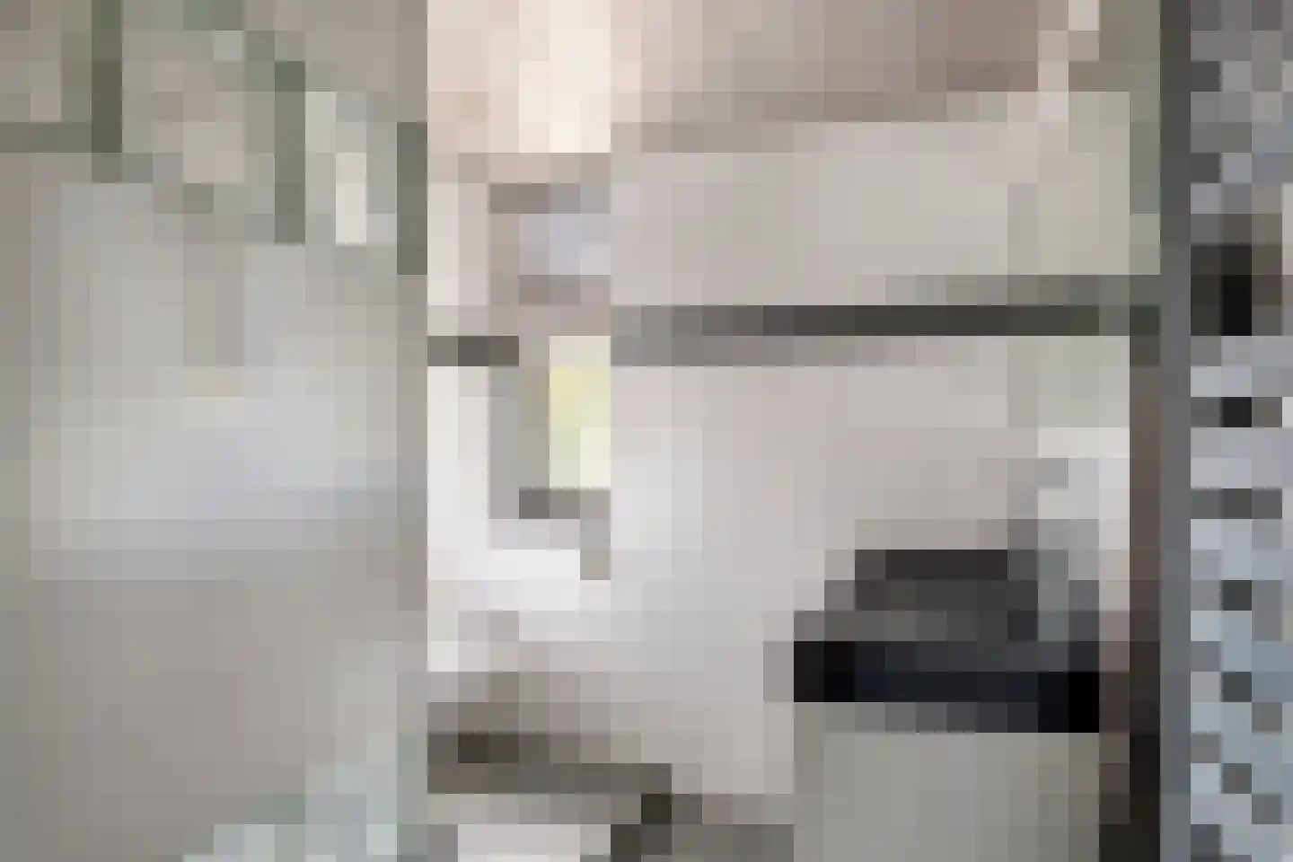 Peppelbos 19 Geldermalsen thumbnail 22