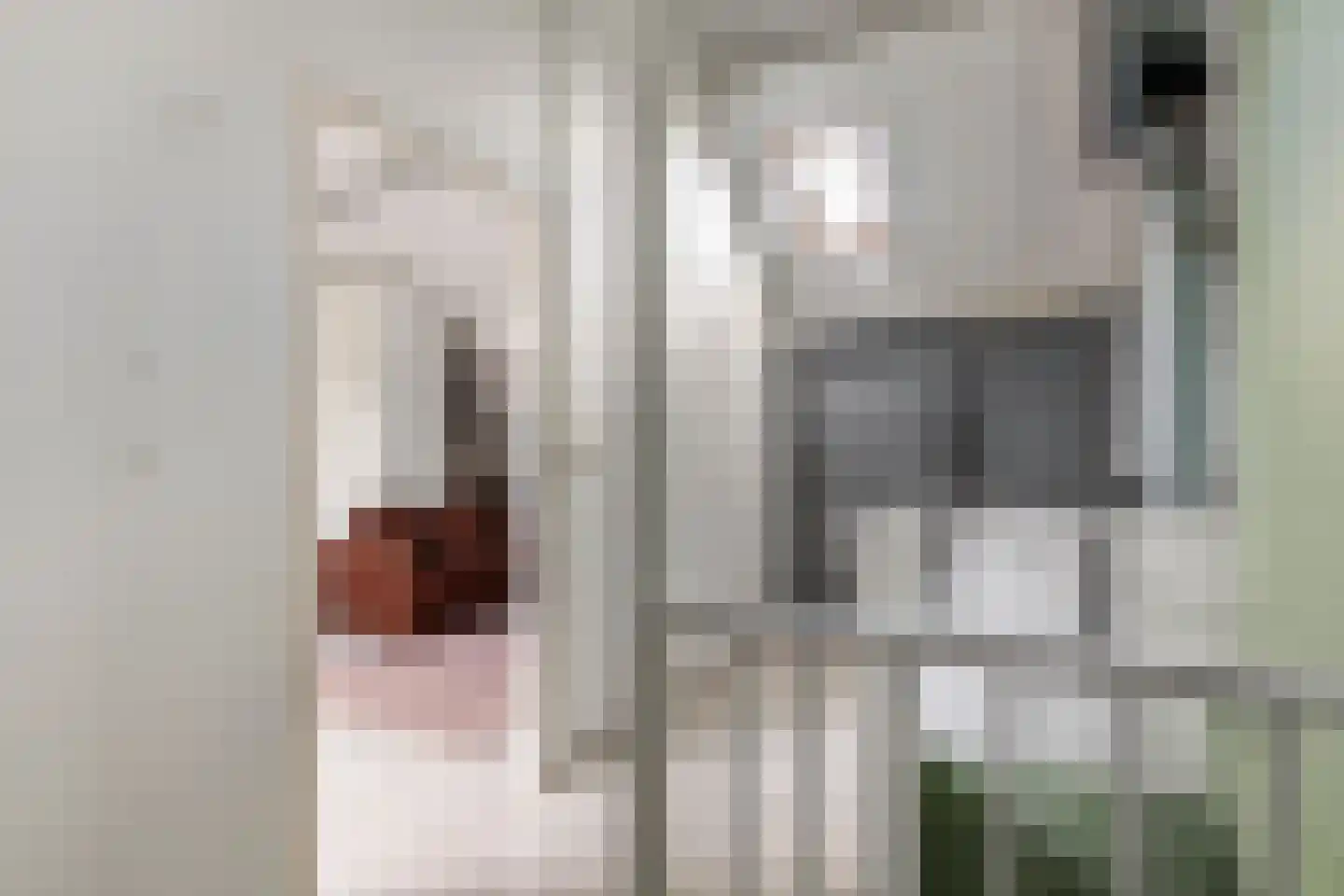 Peppelbos 19 Geldermalsen thumbnail 25