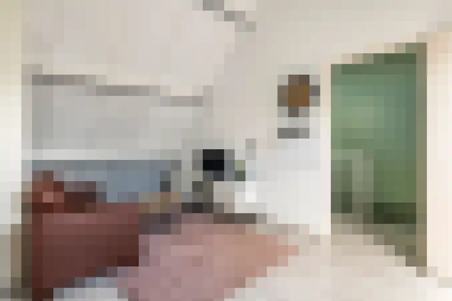 Peppelbos 19 Geldermalsen thumbnail 27