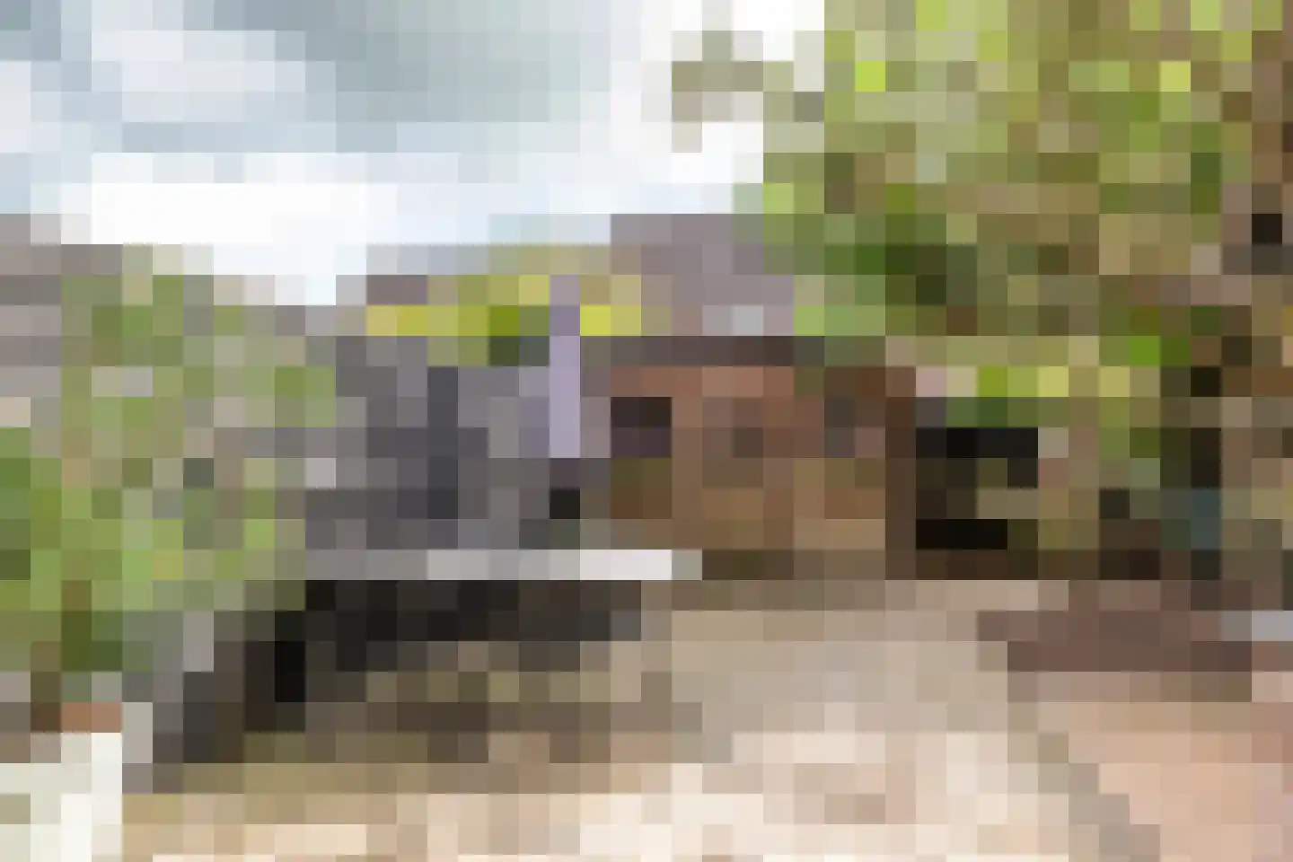 Peppelbos 19 Geldermalsen thumbnail 28