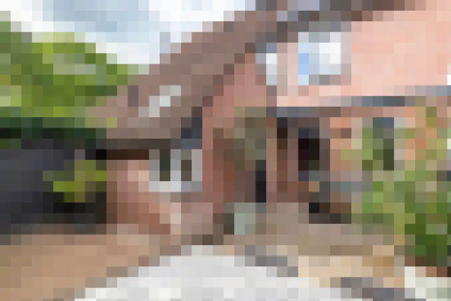 Peppelbos 19 Geldermalsen thumbnail 29