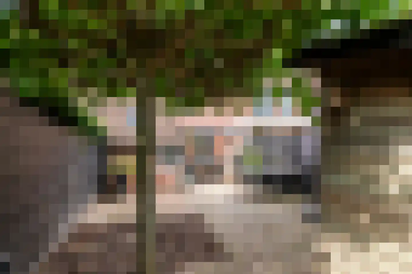 Peppelbos 19 Geldermalsen thumbnail 33
