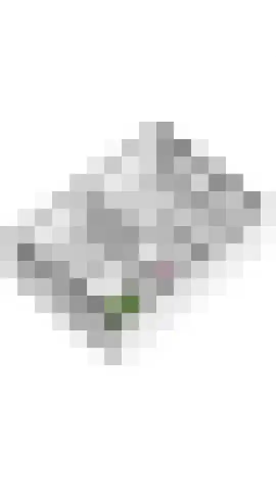 Peppelbos 19 Geldermalsen thumbnail 37