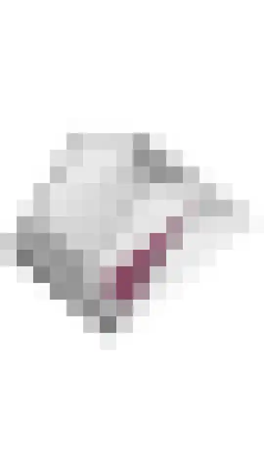 Peppelbos 19 Geldermalsen thumbnail 39