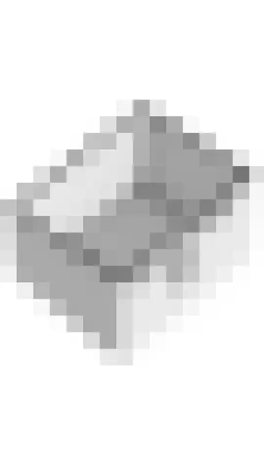 Peppelbos 19 Geldermalsen thumbnail 41