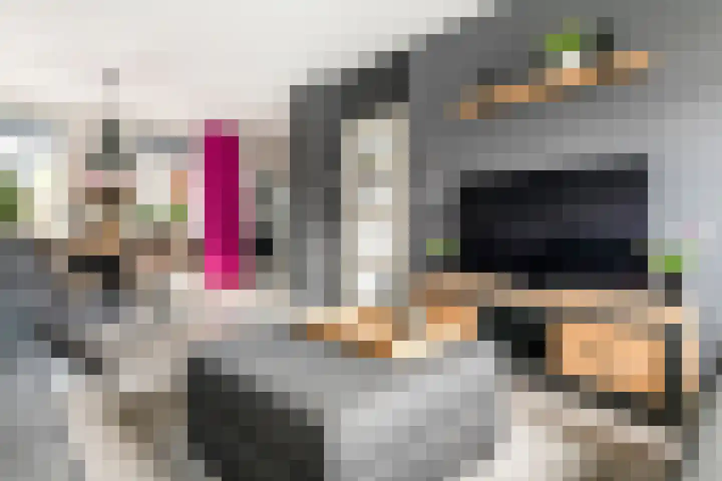 Peppelbos 19 Geldermalsen thumbnail 6