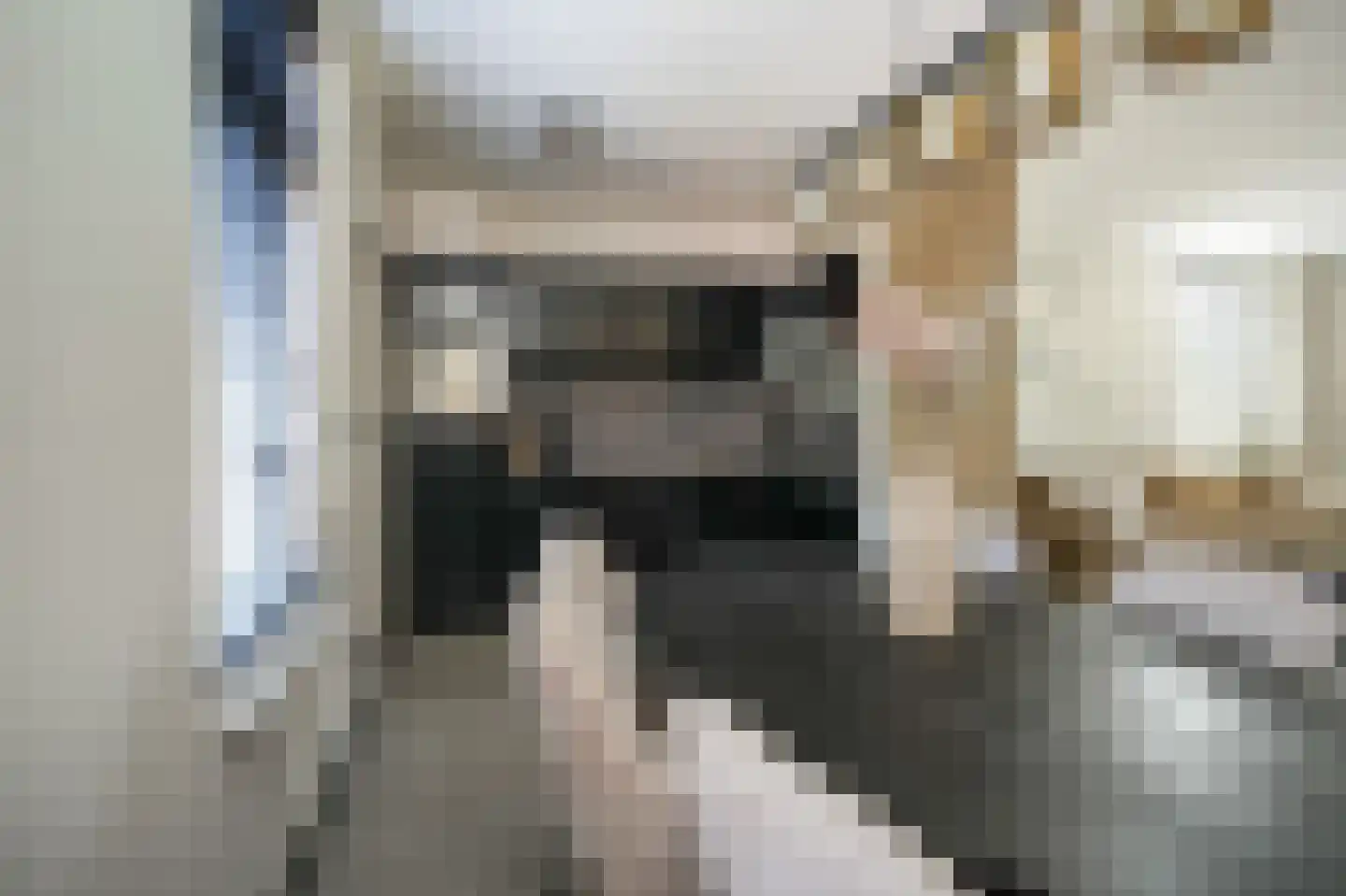 Peppelbos 42 Geldermalsen thumbnail 10