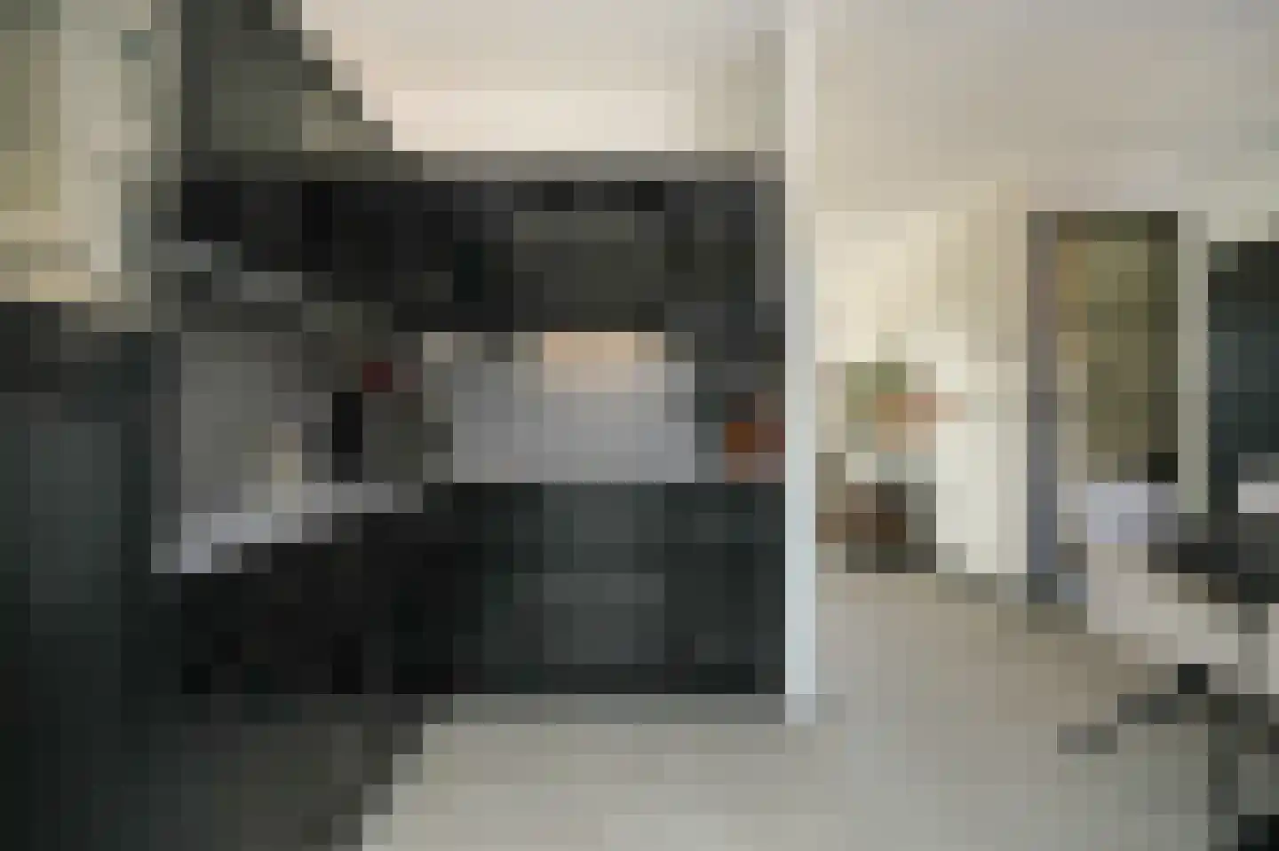 Peppelbos 42 Geldermalsen thumbnail 13