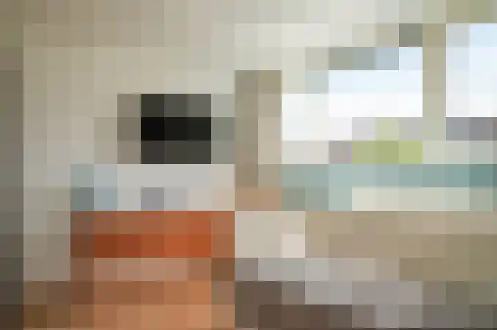 Peppelbos 42 Geldermalsen thumbnail 16